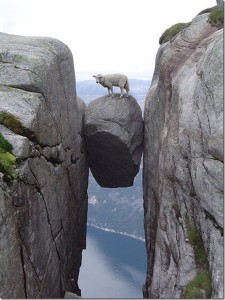 God-Presence-Sheep-Needing-Savior